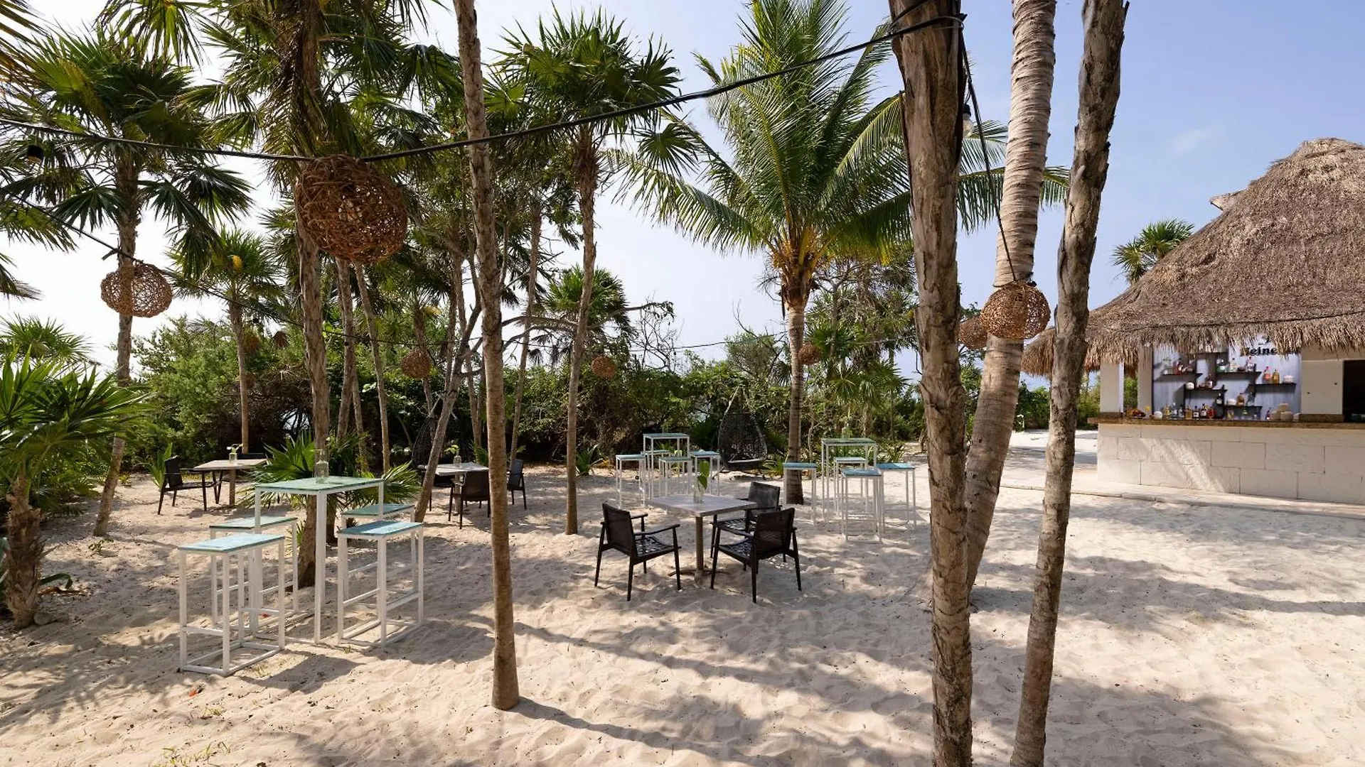 ***** Station touristique Paradisus La Perla (Adults Only) Playa del Carmen Mexique